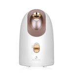 Hot and cold face steamer
